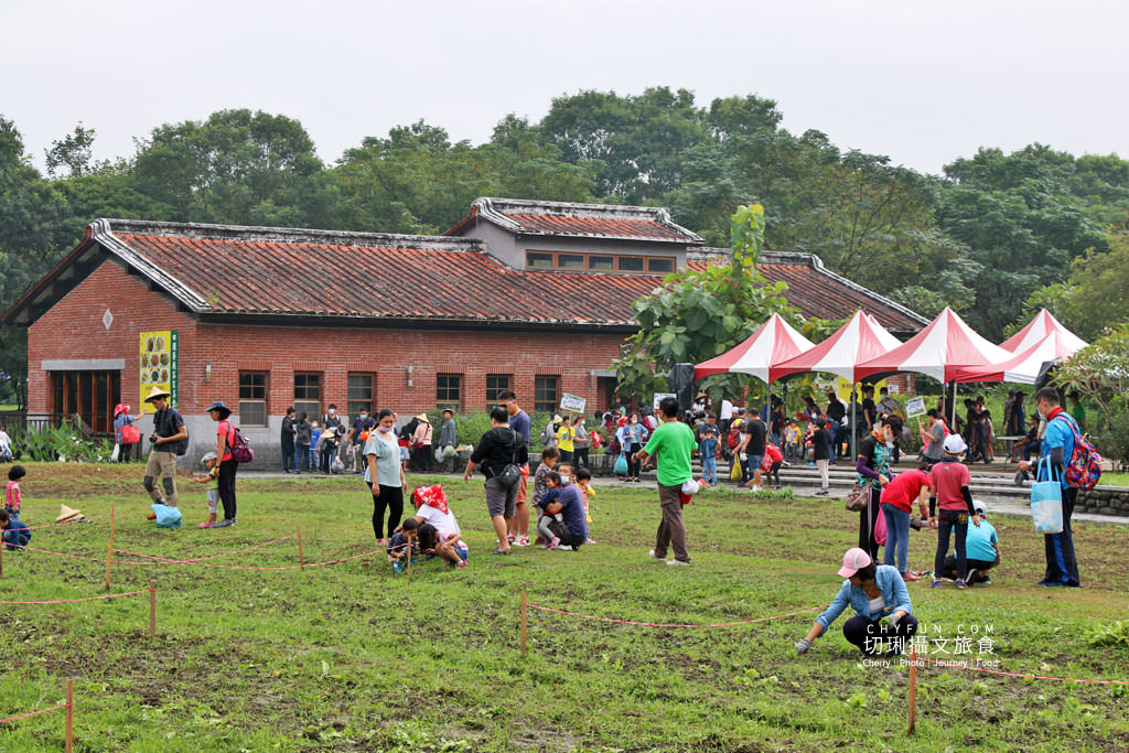 屏東旅遊六堆客家庄採菜體驗趣24