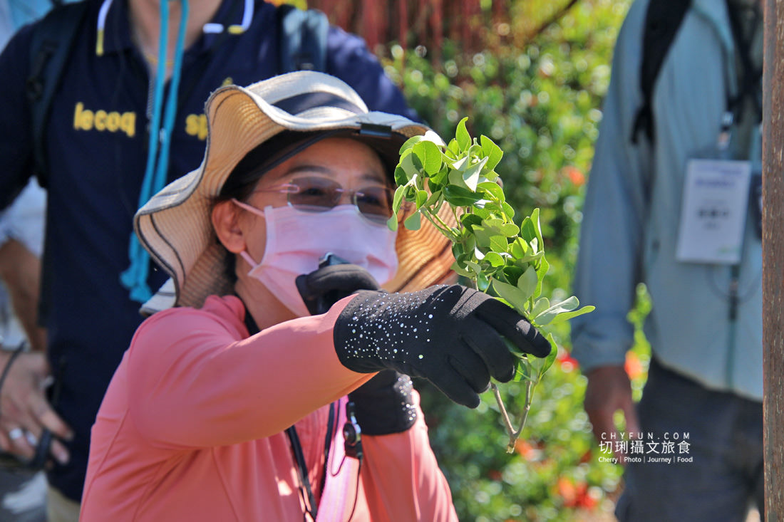 屏東|枋寮新龍社區漫遊漁村,從玩到吃體驗樂魚生活 - 第18張圖 屏東|枋寮新龍社區漫遊漁村,從玩到吃體驗樂魚生活