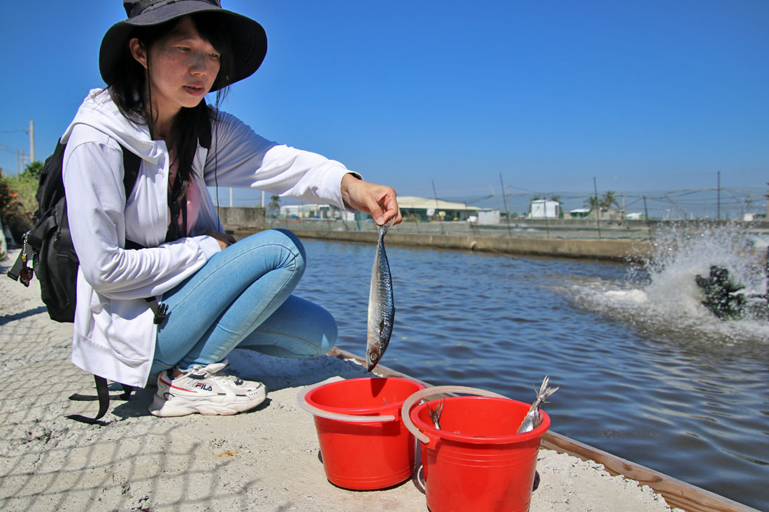 屏東|枋寮新龍社區漫遊漁村,從玩到吃體驗樂魚生活 - 第27張圖 屏東|枋寮新龍社區漫遊漁村,從玩到吃體驗樂魚生活