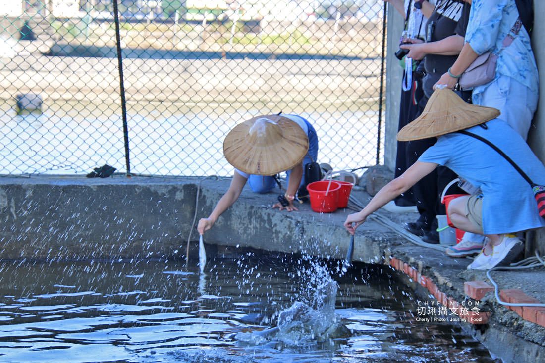 屏東|枋寮新龍社區漫遊漁村,從玩到吃體驗樂魚生活 - 第28張圖 屏東|枋寮新龍社區漫遊漁村,從玩到吃體驗樂魚生活