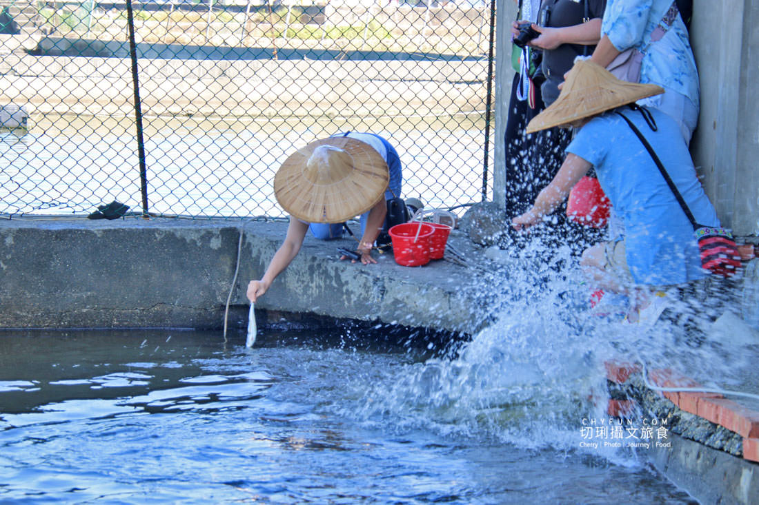 屏東|枋寮新龍社區漫遊漁村,從玩到吃體驗樂魚生活 - 第29張圖 屏東|枋寮新龍社區漫遊漁村,從玩到吃體驗樂魚生活