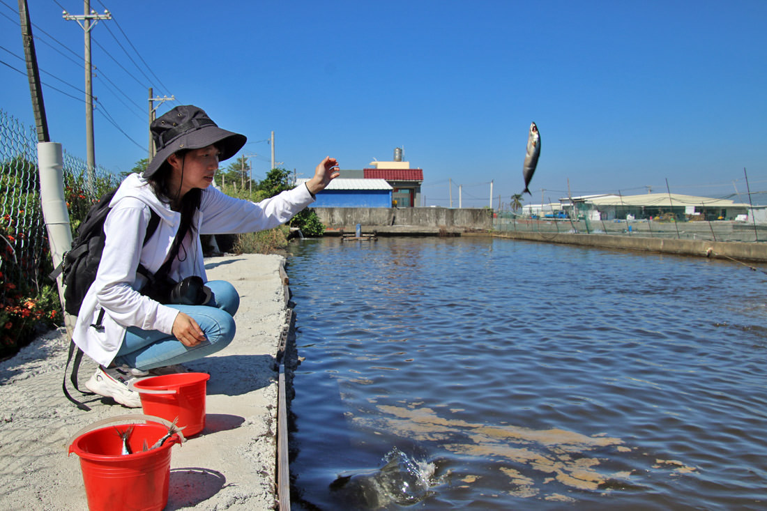屏東|枋寮新龍社區漫遊漁村,從玩到吃體驗樂魚生活 - 第30張圖 屏東|枋寮新龍社區漫遊漁村,從玩到吃體驗樂魚生活