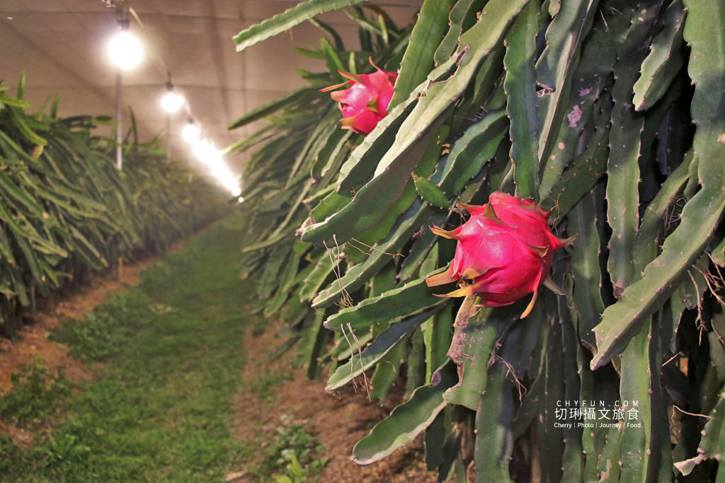 彰化｜10條彰化農村遊程路線15個好玩有趣點，一二三日遊體驗導覽任你行