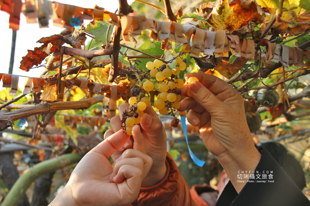 彰化｜10條彰化農村遊程路線15個好玩有趣點，一二三日遊體驗導覽任你行