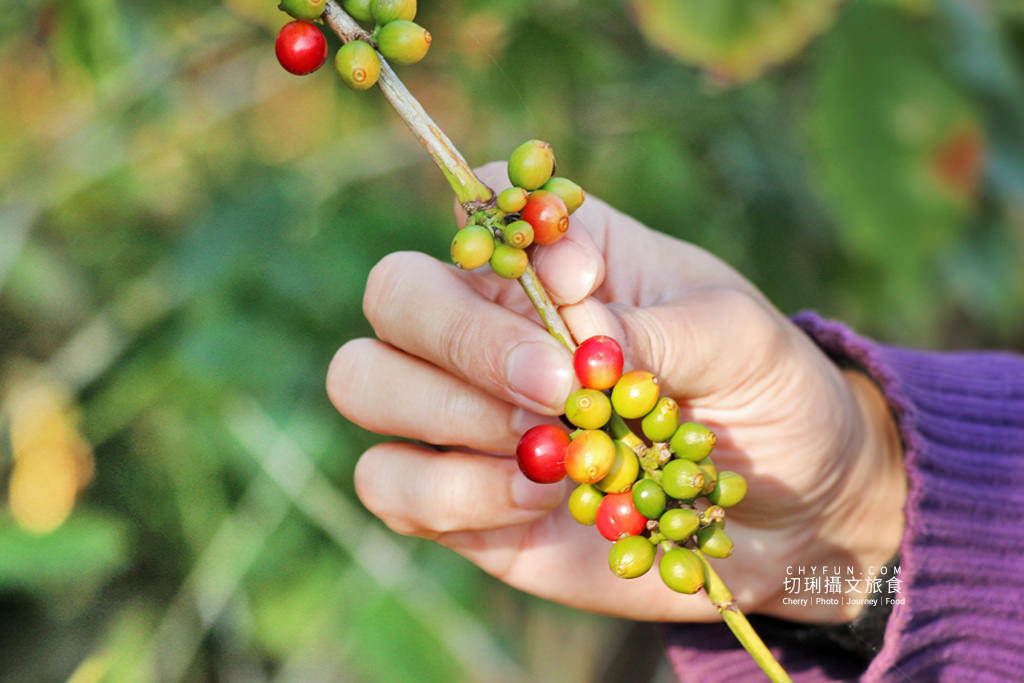彰化｜10條彰化農村遊程路線15個好玩有趣點，一二三日遊體驗導覽任你行