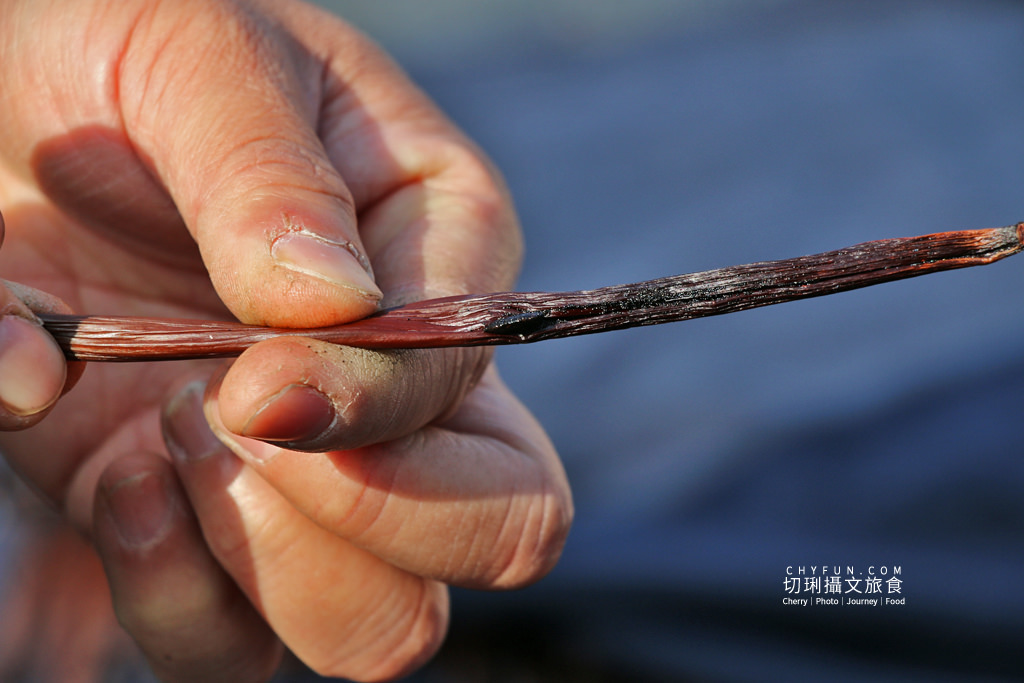 彰化｜10條彰化農村遊程路線15個好玩有趣點，一二三日遊體驗導覽任你行