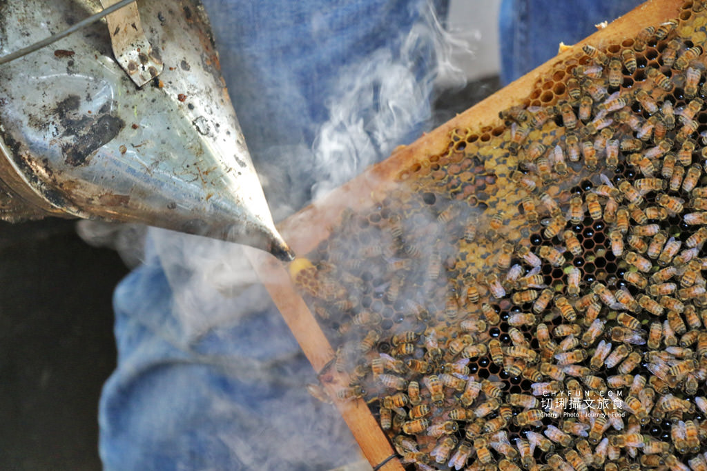 彰化｜10條彰化農村遊程路線15個好玩有趣點，一二三日遊體驗導覽任你行