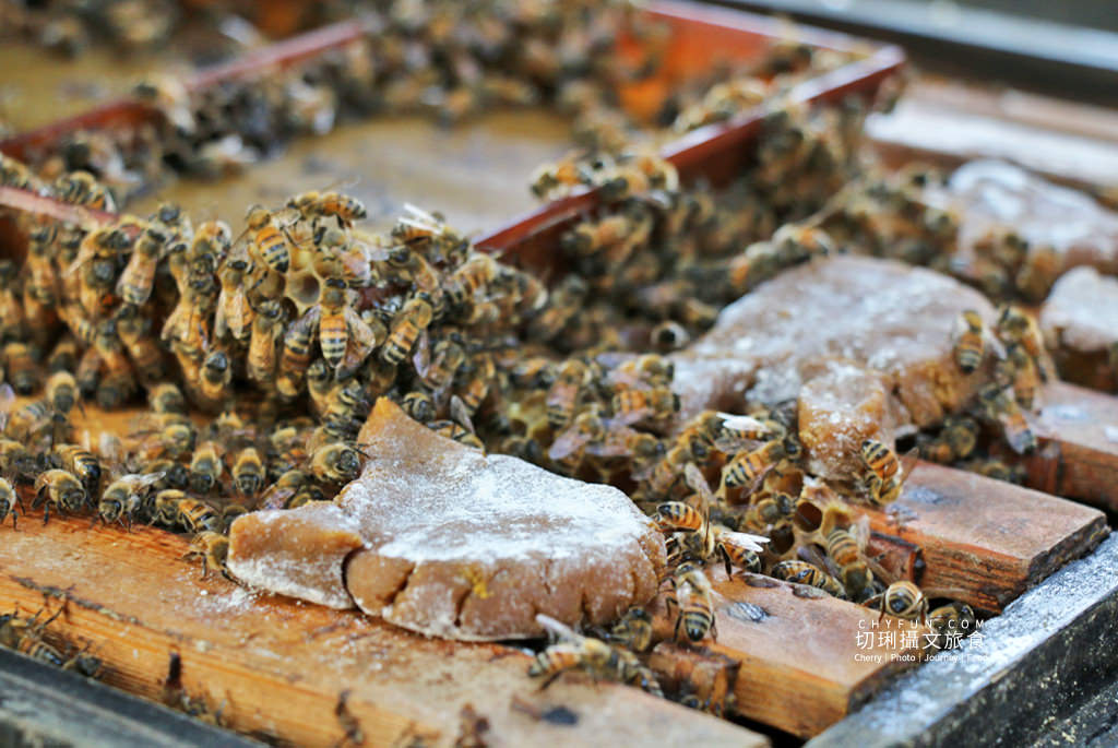 彰化｜10條彰化農村遊程路線15個好玩有趣點，一二三日遊體驗導覽任你行