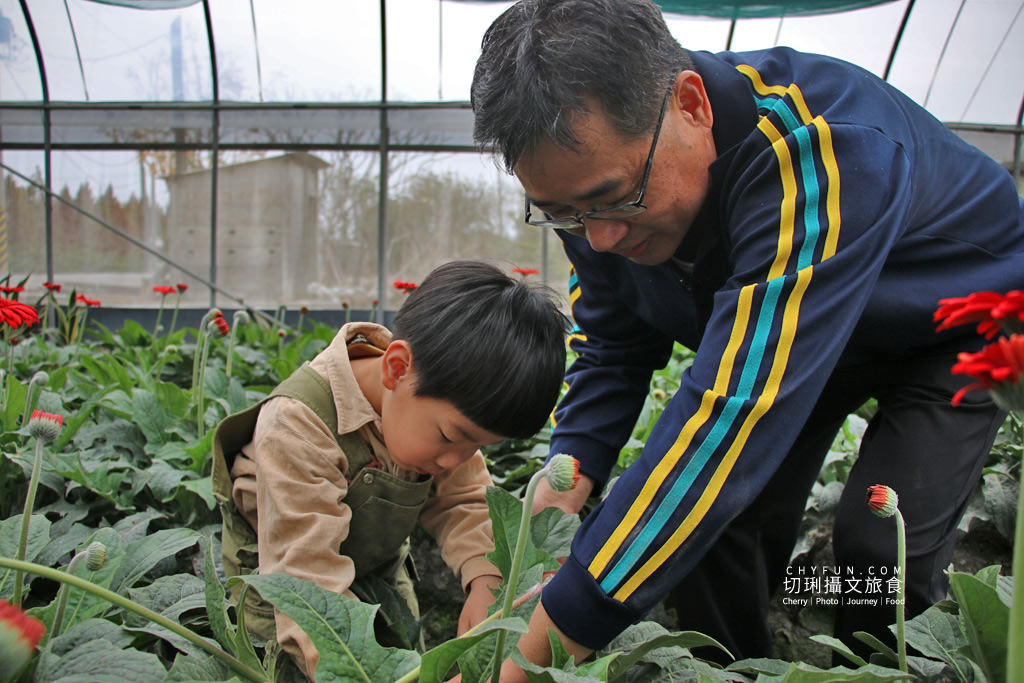 彰化｜10條彰化農村遊程路線15個好玩有趣點，一二三日遊體驗導覽任你行