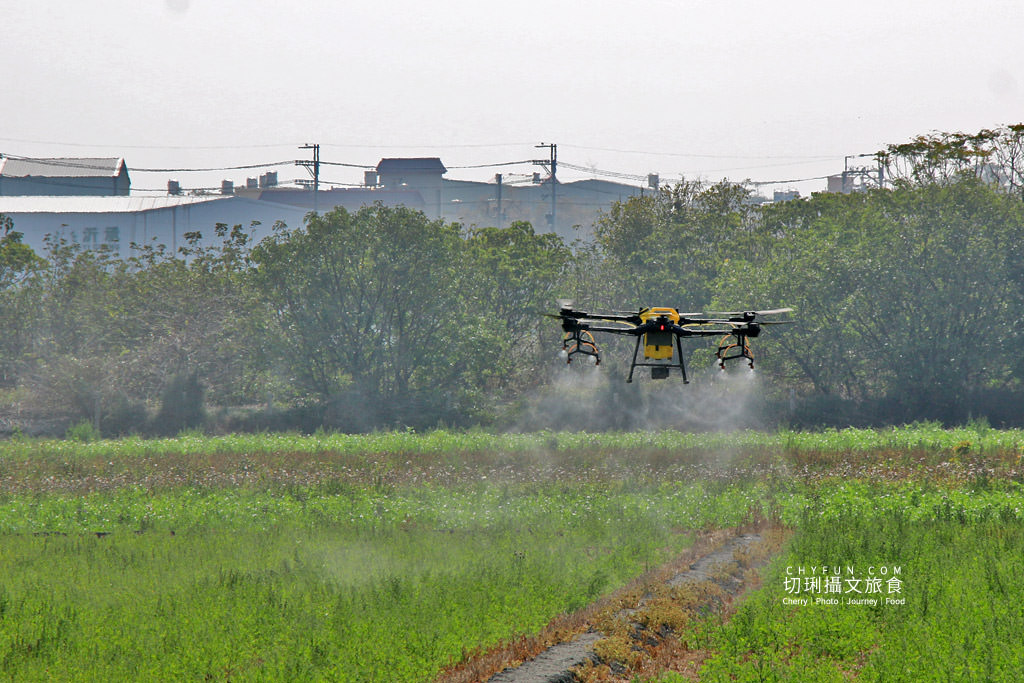 彰化｜10條彰化農村遊程路線15個好玩有趣點，一二三日遊體驗導覽任你行