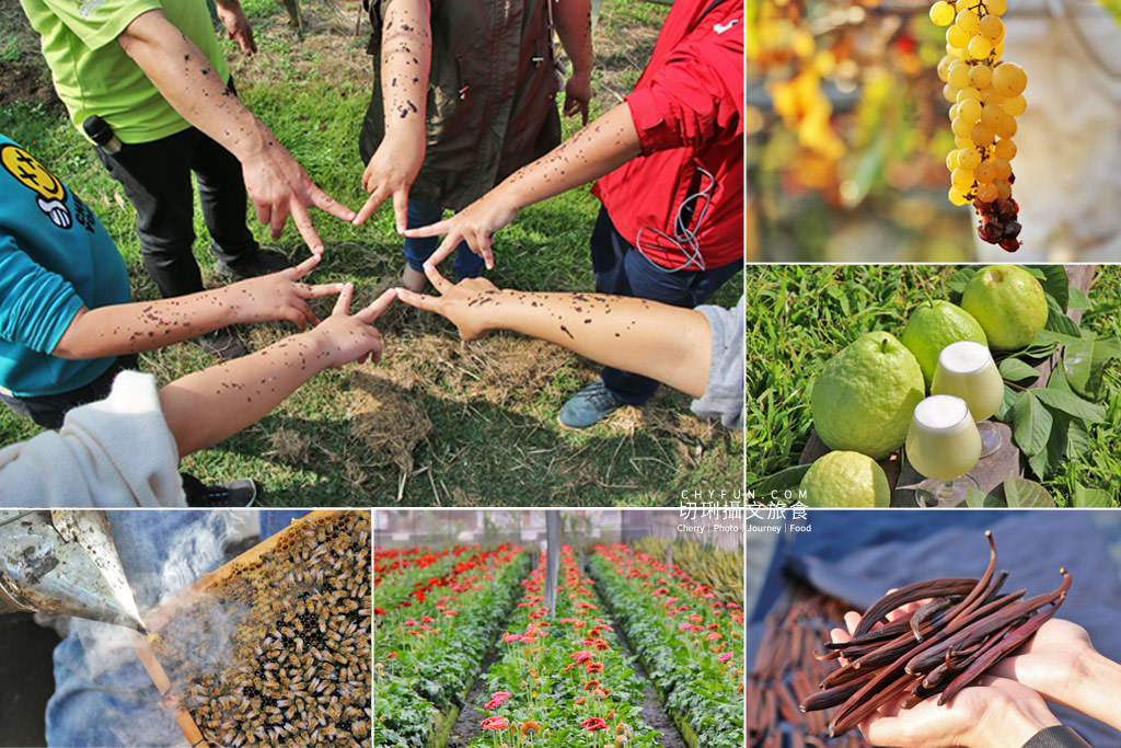 彰化｜10條彰化農村遊程路線15個好玩有趣點，一二三日遊體驗導覽任你行