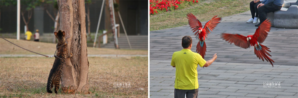 搭輕軌玩高雄｜高雄展覽館站周邊景點、美食、住宿、打卡輕鬆玩