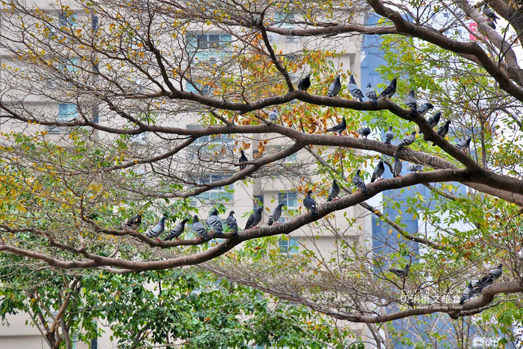 搭輕軌玩高雄｜高雄展覽館站周邊景點、美食、住宿、打卡輕鬆玩