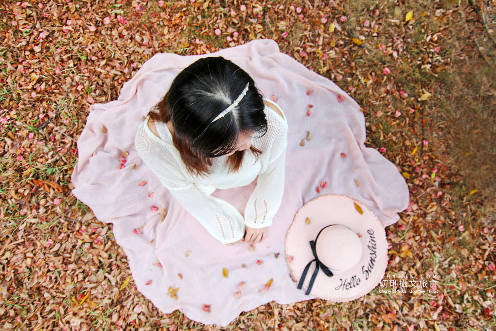 有花堪折直需折、莫待無花空折枝06