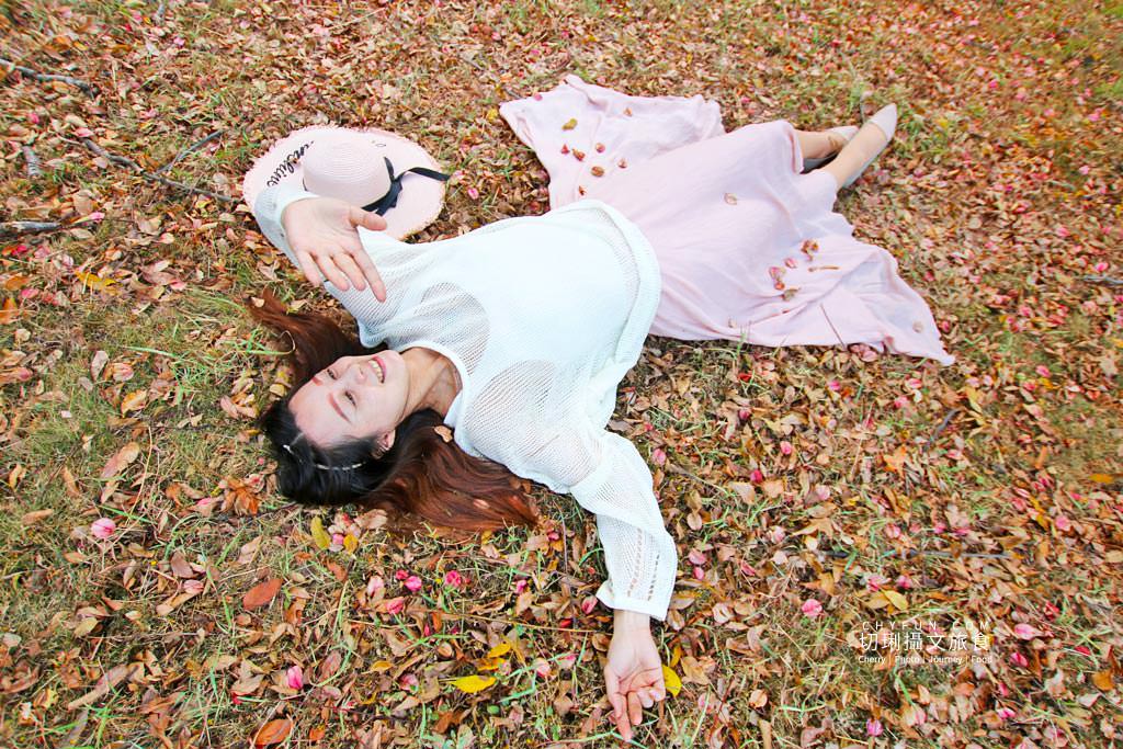 有花堪折直需折、莫待無花空折枝07