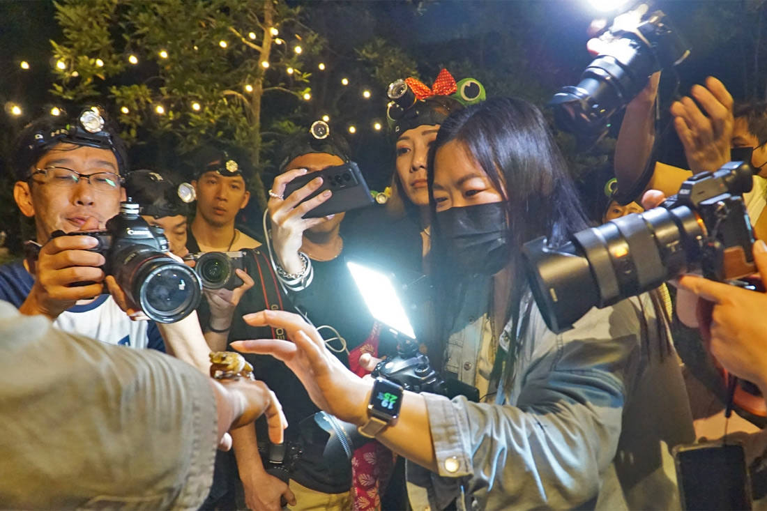 南投｜埔里水泥角生態民宿被光影綠意包圍的森林系，一泊二食超豐盛夜觀生態別錯過
