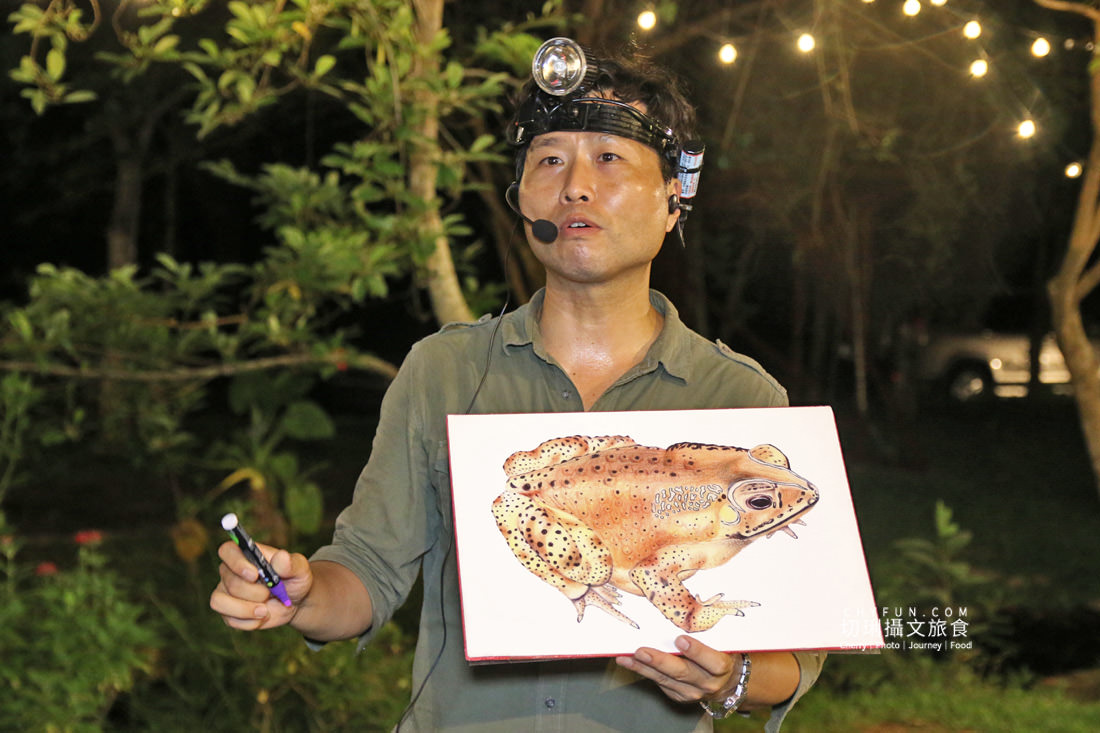 南投｜埔里水泥角生態民宿被光影綠意包圍的森林系，一泊二食超豐盛夜觀生態別錯過