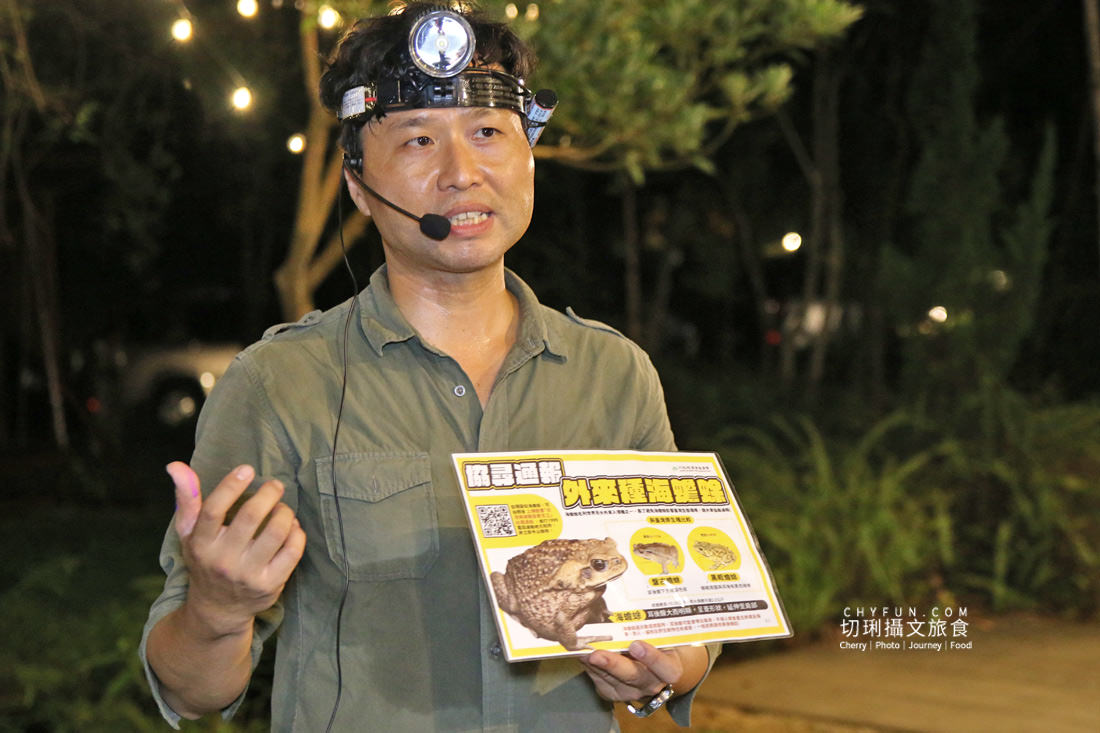 南投｜埔里水泥角生態民宿被光影綠意包圍的森林系，一泊二食超豐盛夜觀生態別錯過