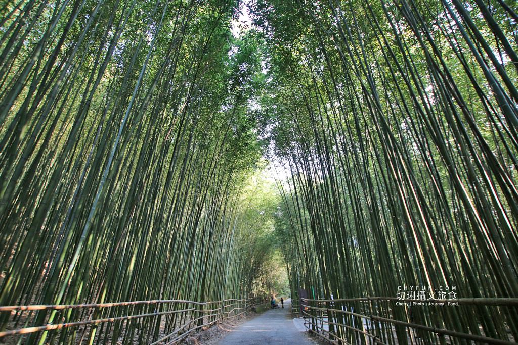 苗栗｜泰安溫泉景點美食二日遊，暖心休養悠然山林百年湯旅