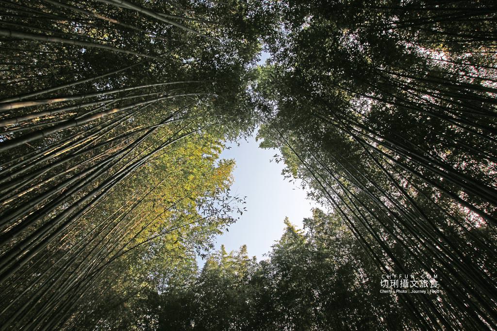 苗栗｜泰安溫泉景點美食二日遊，暖心休養悠然山林百年湯旅