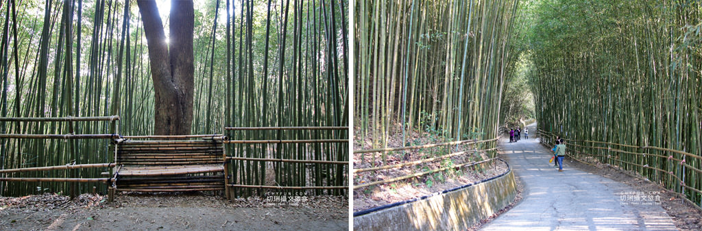 苗栗｜泰安溫泉景點美食二日遊，暖心休養悠然山林百年湯旅