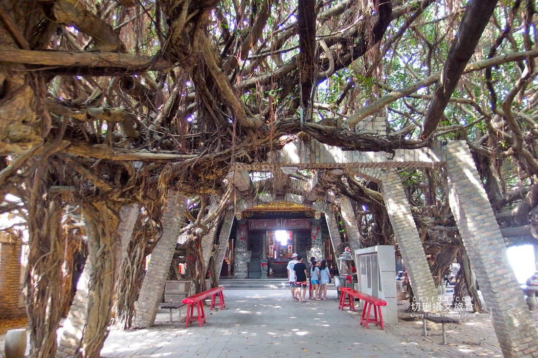 澎湖｜澎湖冬天旅行遊北環，搭車輕鬆遊熱門景點免ㄎㄠ風