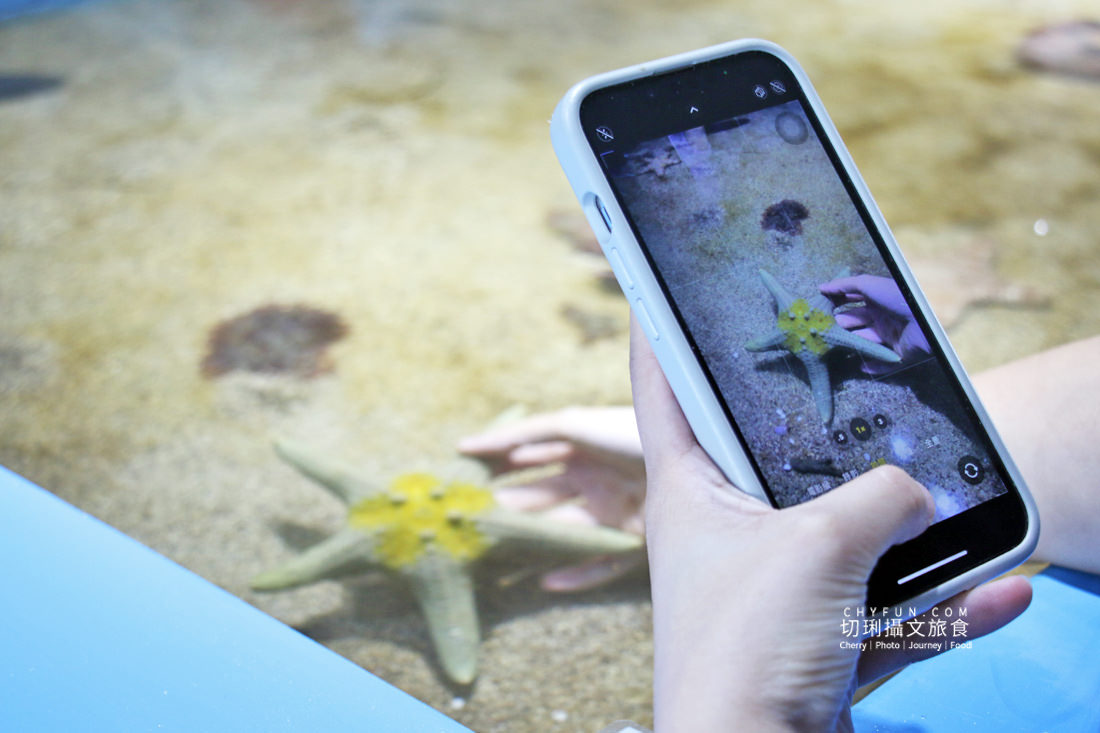 澎湖|冬遊澎湖好處不少,不玩水迎風嬉遊景點大啖美食 - 第40張圖 澎湖|冬遊澎湖好處不少,不玩水迎風嬉遊景點大啖美食