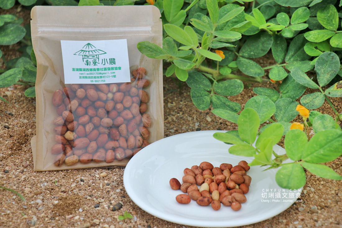 澎湖｜南寮特色牛屎餅炒花生，農村牛糞燃起創意點心送人有意思