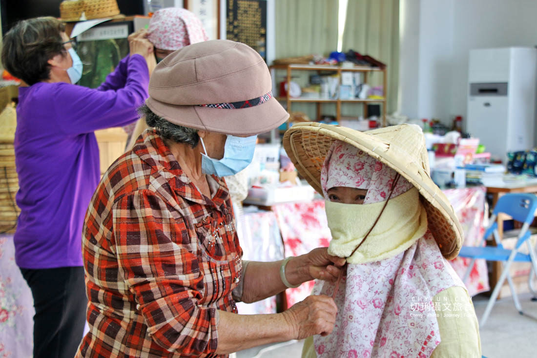 澎湖｜澎湖冬至雞母狗菜繭應景米食不能少，到南寮體驗在地的冬至餐桌