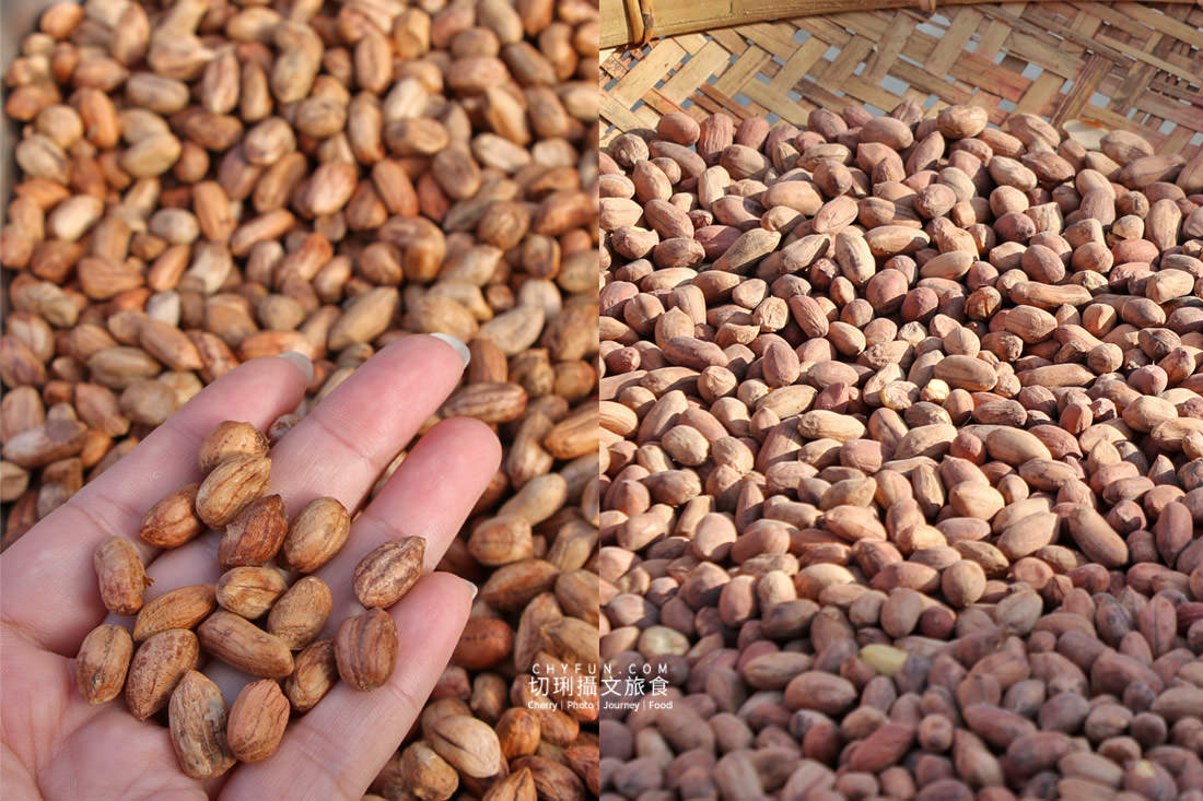 澎湖｜澎湖冬至雞母狗菜繭應景米食不能少，到南寮體驗在地的冬至餐桌