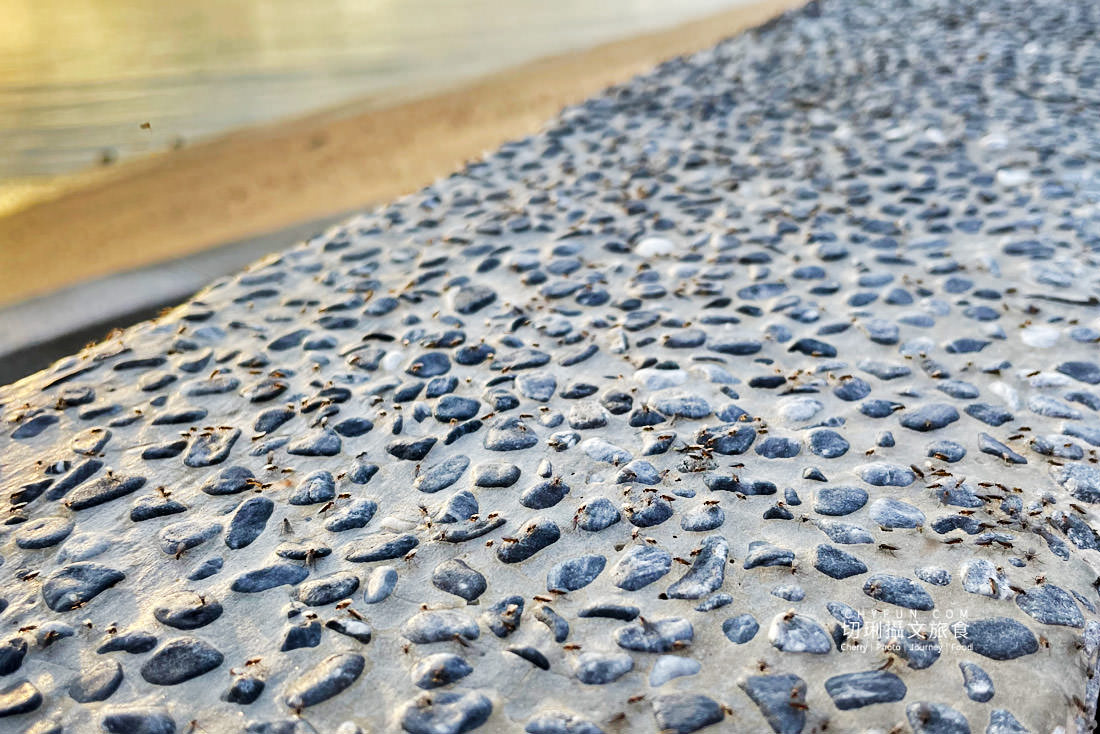 英仙座流星雨｜在澎湖拍星空、星軌、賞流星，滿天繁星只為拍那一顆