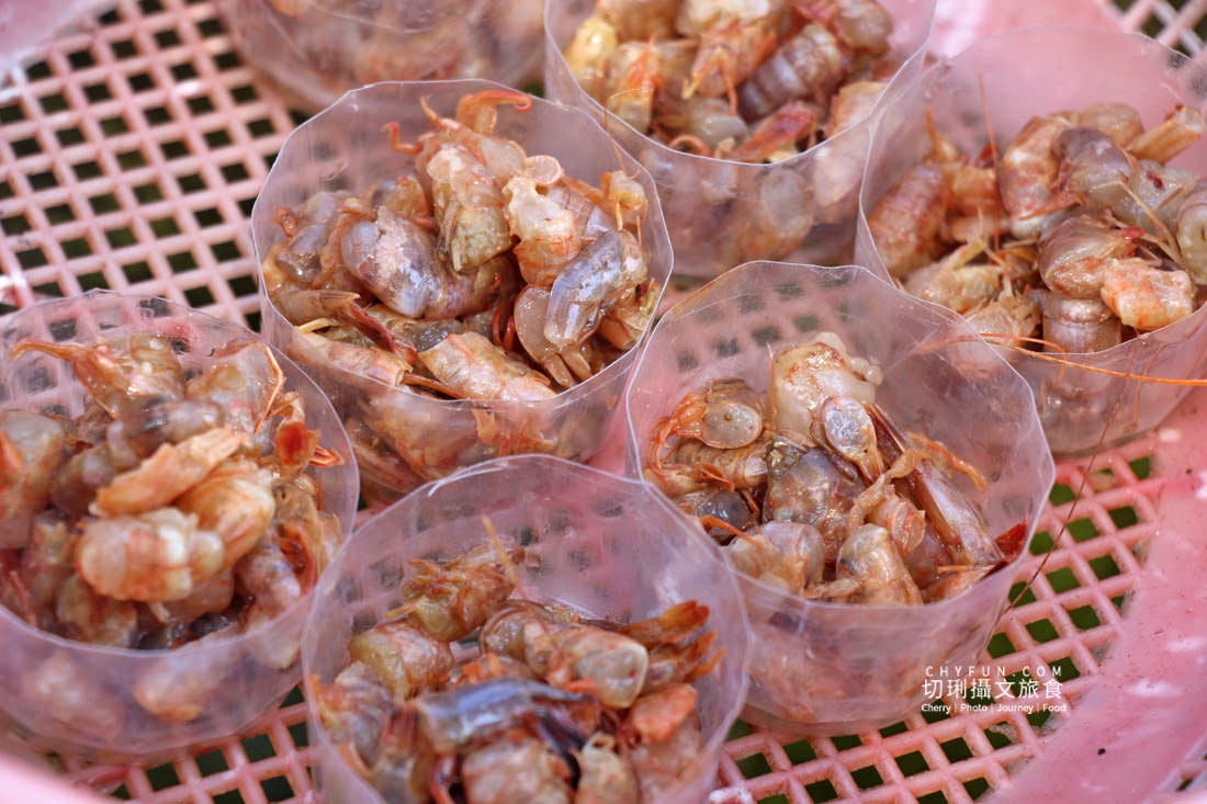 澎湖｜東海一日遊島嶼巡航玩水上活動吃痛風餐，晶翔號2022最新遊程玩起來