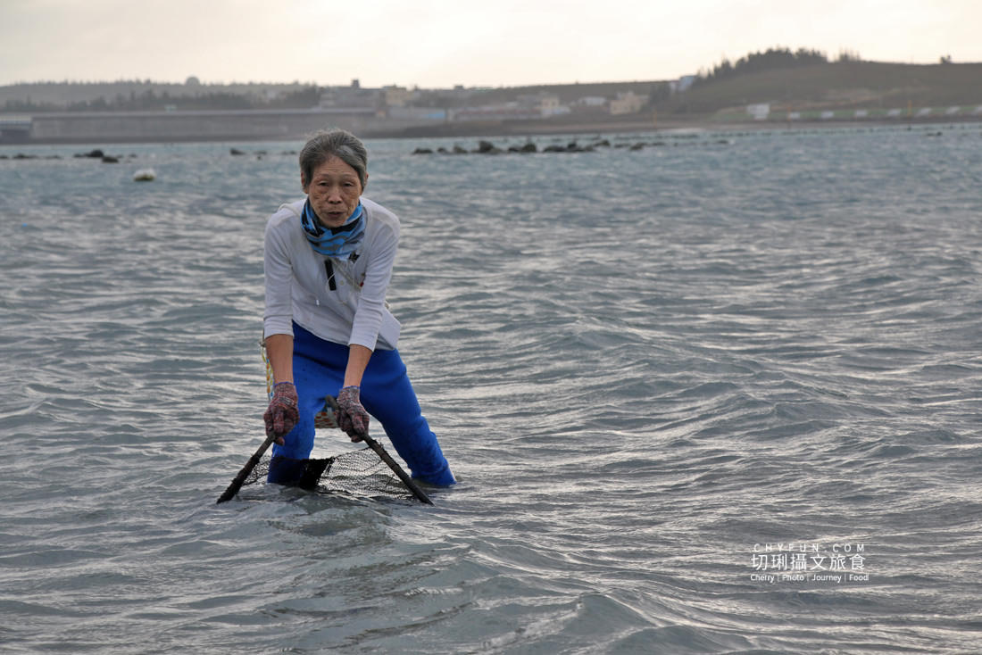 澎湖|柵網抓魚體驗趣深入澎湖傳統漁法,來去潮間帶踏浪追魚摸貝 - 第15張圖 澎湖|柵網抓魚體驗趣深入澎湖傳統漁法,來去潮間帶踏浪追魚摸貝