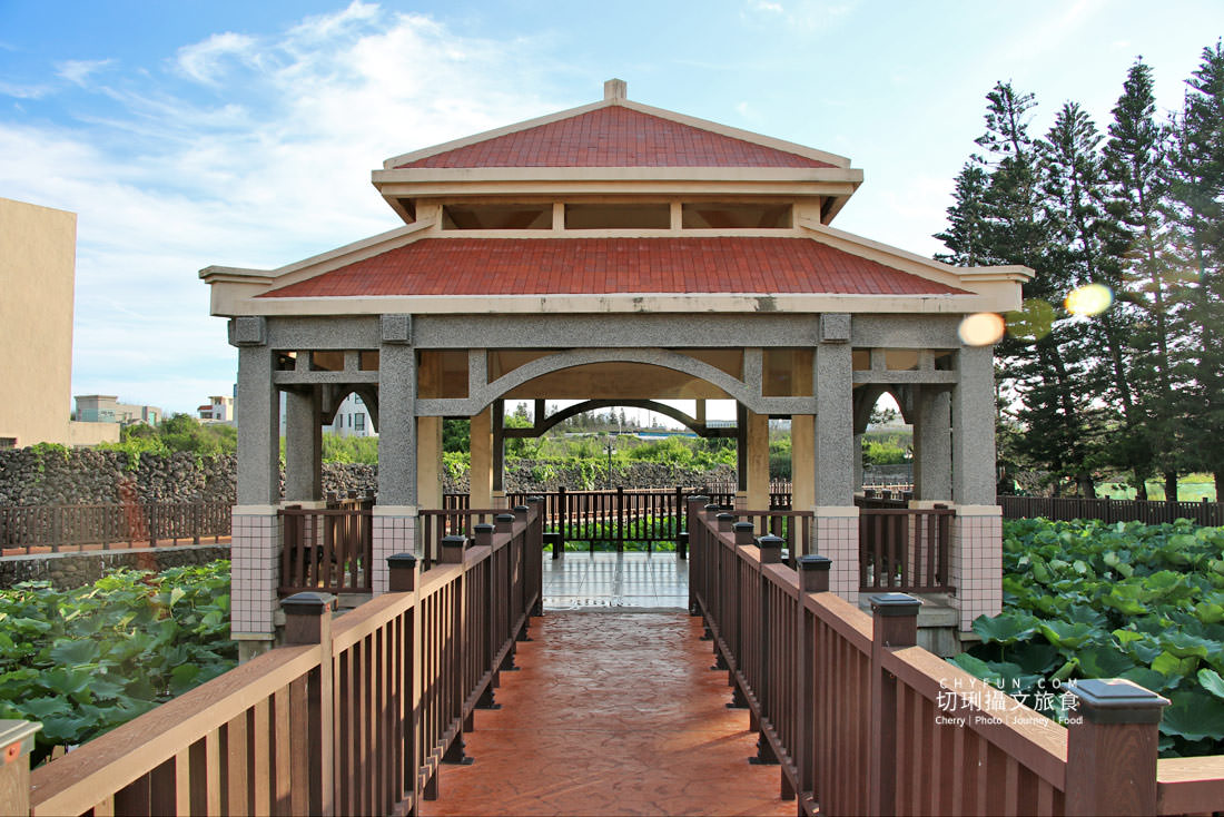 澎湖｜湖西百年蓮花池佔地廣生態多樣，每當夏日花正開葉正高
