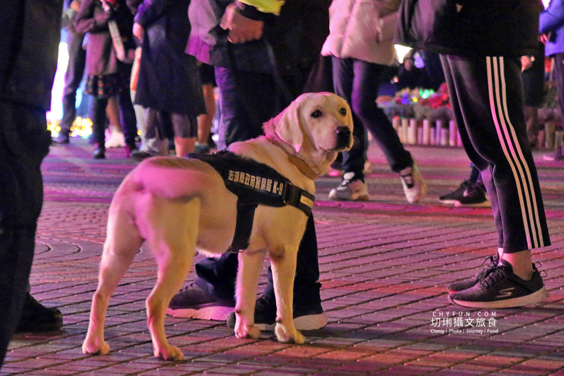 澎湖｜澎湖跨年晚會金輝菊島閃耀無限，人潮多市集熱鬧最後璀璨煙火畫句點