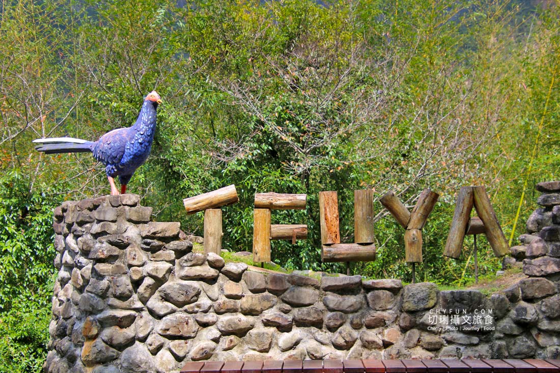 嘉義|阿里山特富野二日遊跟著在地人步伐,走訪挪唷吒原野巨木森林導覽聚落文化 - 第2張圖 嘉義|阿里山特富野二日遊跟著在地人步伐,走訪挪唷吒原野巨木森林導覽聚落文化