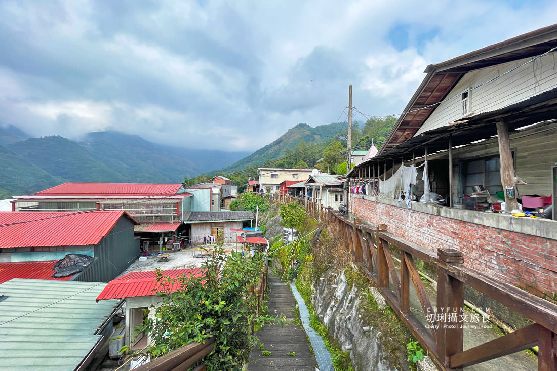 嘉義｜阿里山特富野二日遊跟著在地人步伐，走訪挪唷吒原野巨木森林導覽聚落文化