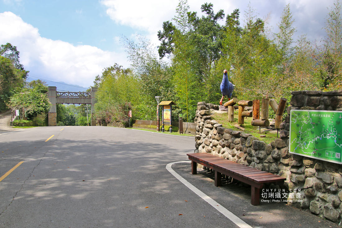 嘉義｜阿里山特富野二日遊跟著在地人步伐，走訪挪唷吒原野巨木森林導覽聚落文化