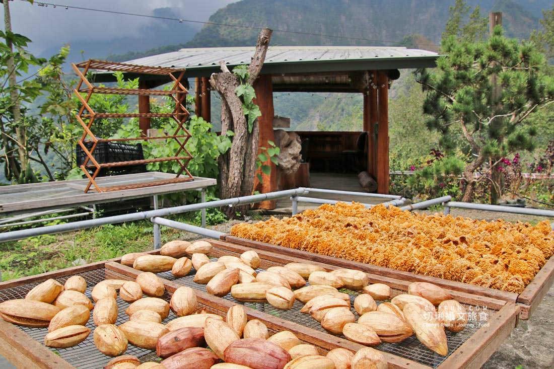 嘉義|阿里山特富野二日遊跟著在地人步伐,走訪挪唷吒原野巨木森林導覽聚落文化 - 第12張圖 嘉義|阿里山特富野二日遊跟著在地人步伐,走訪挪唷吒原野巨木森林導覽聚落文化