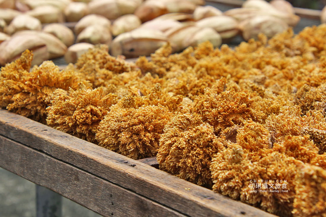 嘉義|阿里山特富野二日遊跟著在地人步伐,走訪挪唷吒原野巨木森林導覽聚落文化 - 第13張圖 嘉義|阿里山特富野二日遊跟著在地人步伐,走訪挪唷吒原野巨木森林導覽聚落文化