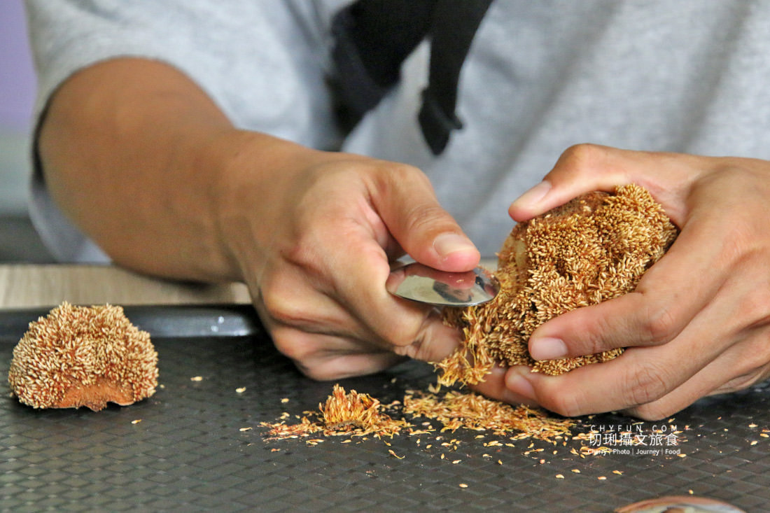 嘉義|阿里山特富野二日遊跟著在地人步伐,走訪挪唷吒原野巨木森林導覽聚落文化 - 第14張圖 嘉義|阿里山特富野二日遊跟著在地人步伐,走訪挪唷吒原野巨木森林導覽聚落文化