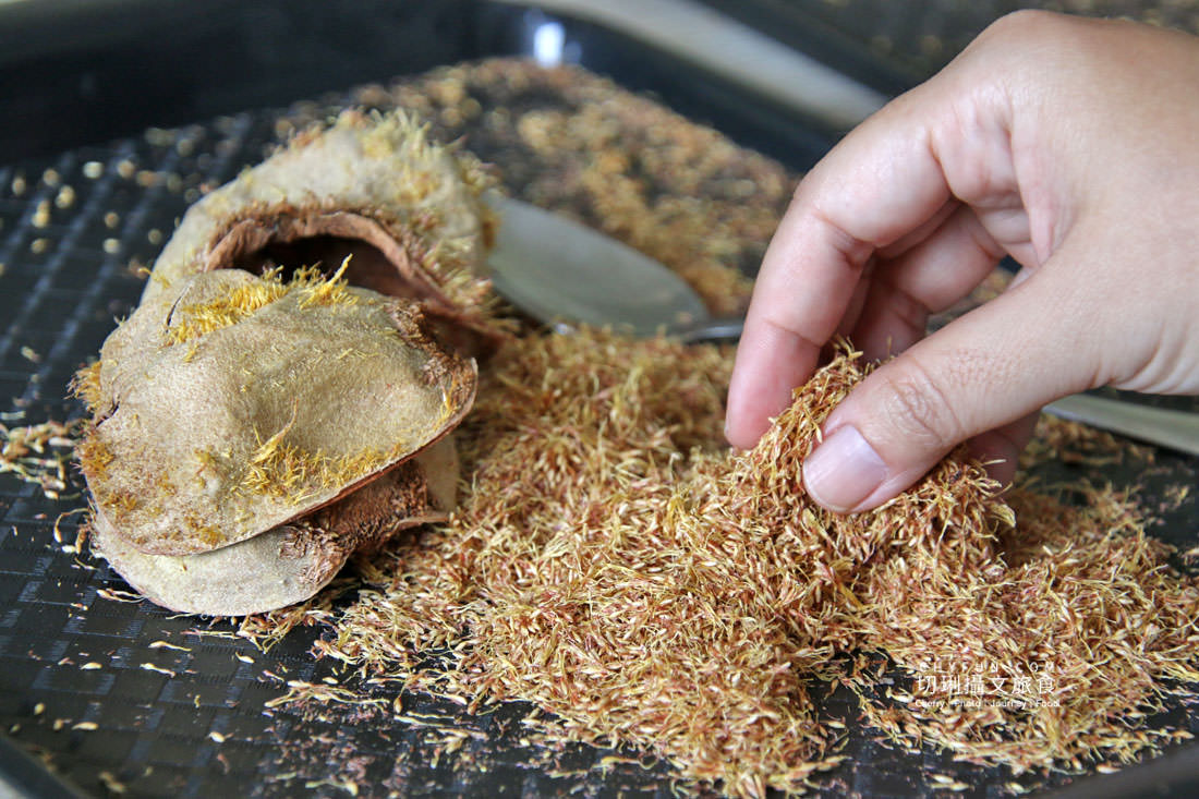 嘉義|阿里山特富野二日遊跟著在地人步伐,走訪挪唷吒原野巨木森林導覽聚落文化 - 第15張圖 嘉義|阿里山特富野二日遊跟著在地人步伐,走訪挪唷吒原野巨木森林導覽聚落文化