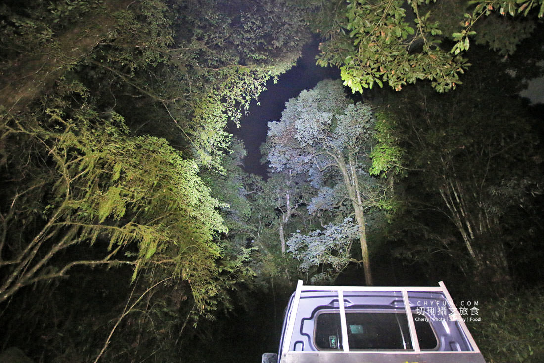 嘉義|阿里山特富野二日遊跟著在地人步伐,走訪挪唷吒原野巨木森林導覽聚落文化 - 第32張圖 嘉義|阿里山特富野二日遊跟著在地人步伐,走訪挪唷吒原野巨木森林導覽聚落文化