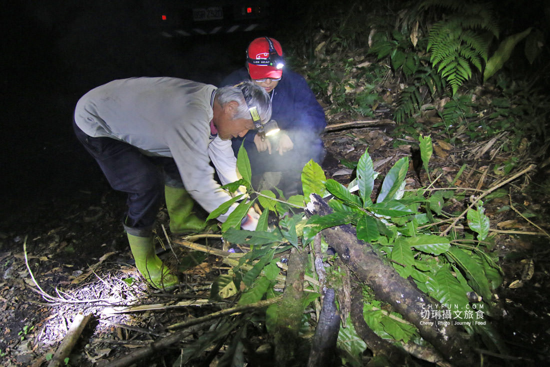嘉義|阿里山特富野二日遊跟著在地人步伐,走訪挪唷吒原野巨木森林導覽聚落文化 - 第33張圖 嘉義|阿里山特富野二日遊跟著在地人步伐,走訪挪唷吒原野巨木森林導覽聚落文化