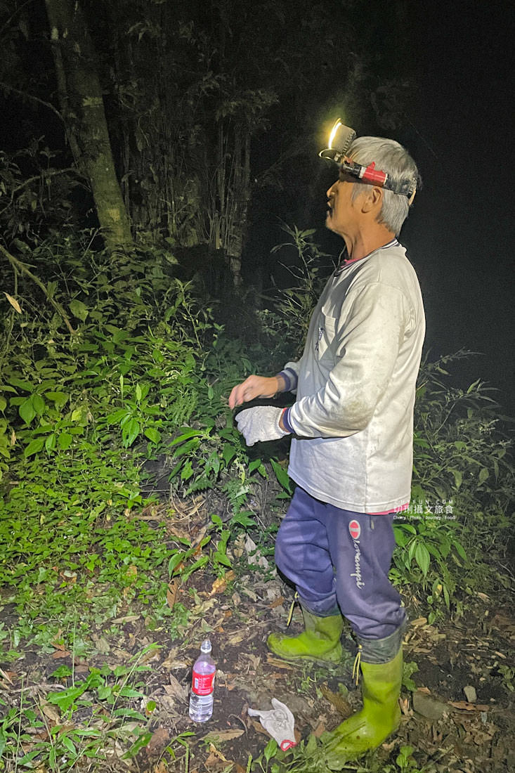 嘉義｜阿里山特富野二日遊跟著在地人步伐，走訪挪唷吒原野巨木森林導覽聚落文化