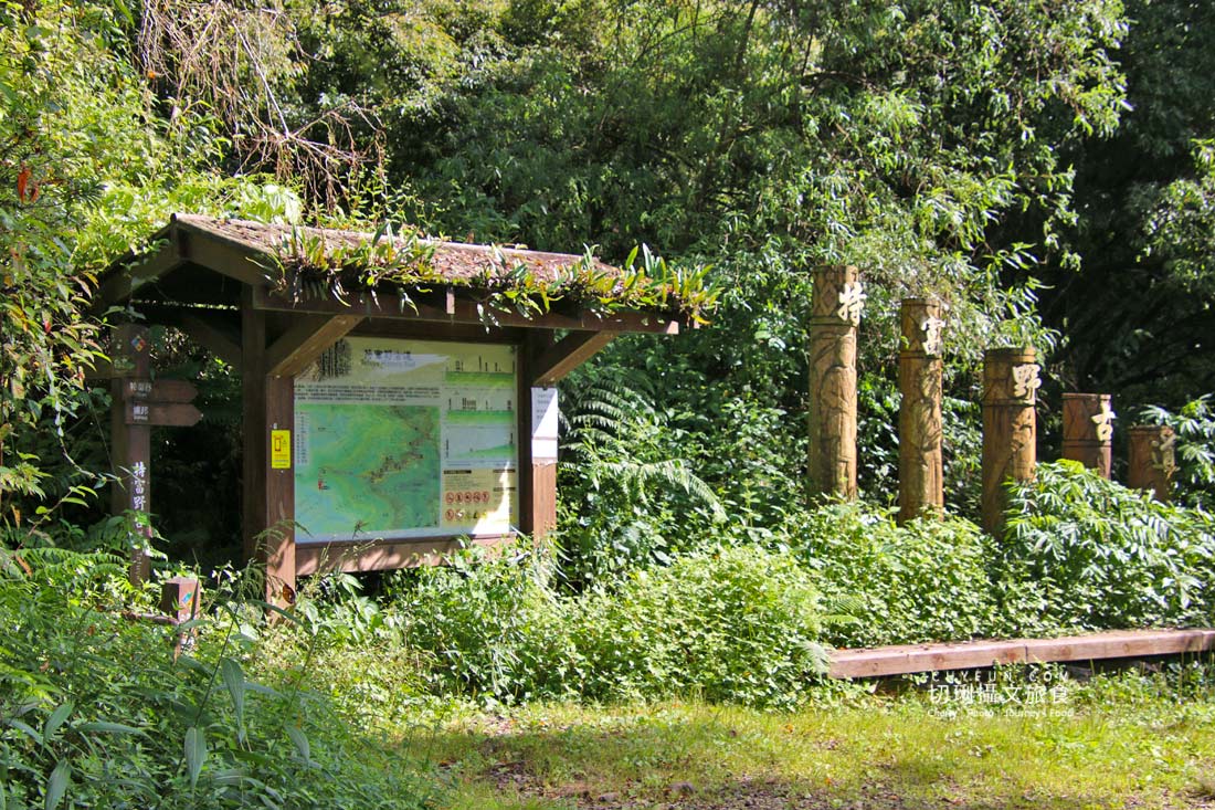 嘉義|阿里山特富野二日遊跟著在地人步伐,走訪挪唷吒原野巨木森林導覽聚落文化 - 第41張圖 嘉義|阿里山特富野二日遊跟著在地人步伐,走訪挪唷吒原野巨木森林導覽聚落文化
