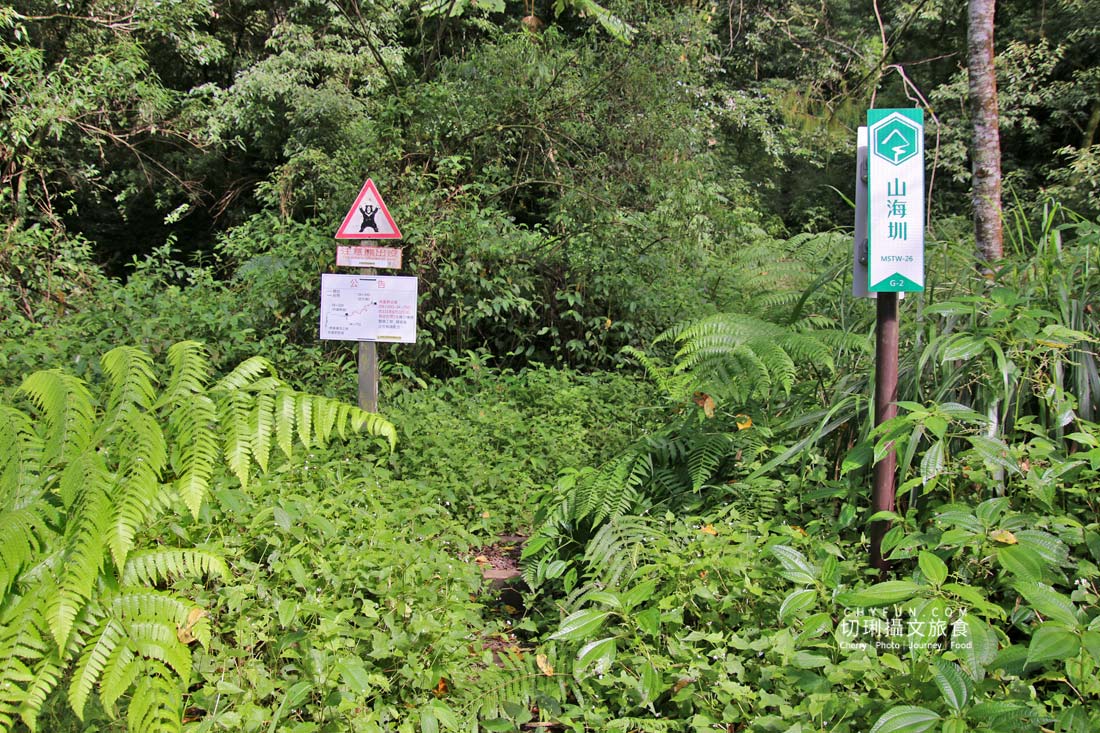 嘉義|阿里山特富野二日遊跟著在地人步伐,走訪挪唷吒原野巨木森林導覽聚落文化 - 第42張圖 嘉義|阿里山特富野二日遊跟著在地人步伐,走訪挪唷吒原野巨木森林導覽聚落文化