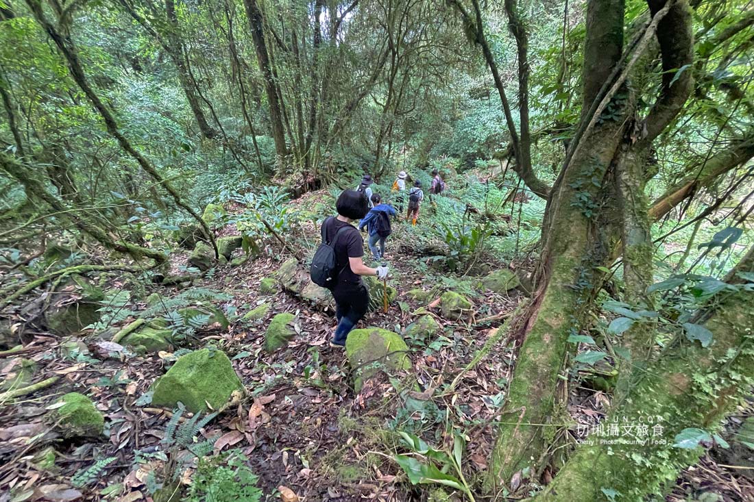嘉義|阿里山特富野二日遊跟著在地人步伐,走訪挪唷吒原野巨木森林導覽聚落文化 - 第47張圖 嘉義|阿里山特富野二日遊跟著在地人步伐,走訪挪唷吒原野巨木森林導覽聚落文化