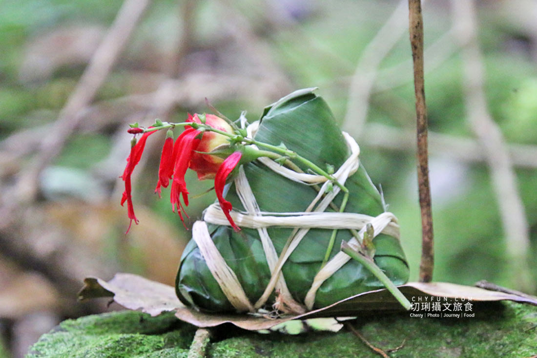 嘉義|阿里山特富野二日遊跟著在地人步伐,走訪挪唷吒原野巨木森林導覽聚落文化 - 第54張圖 嘉義|阿里山特富野二日遊跟著在地人步伐,走訪挪唷吒原野巨木森林導覽聚落文化