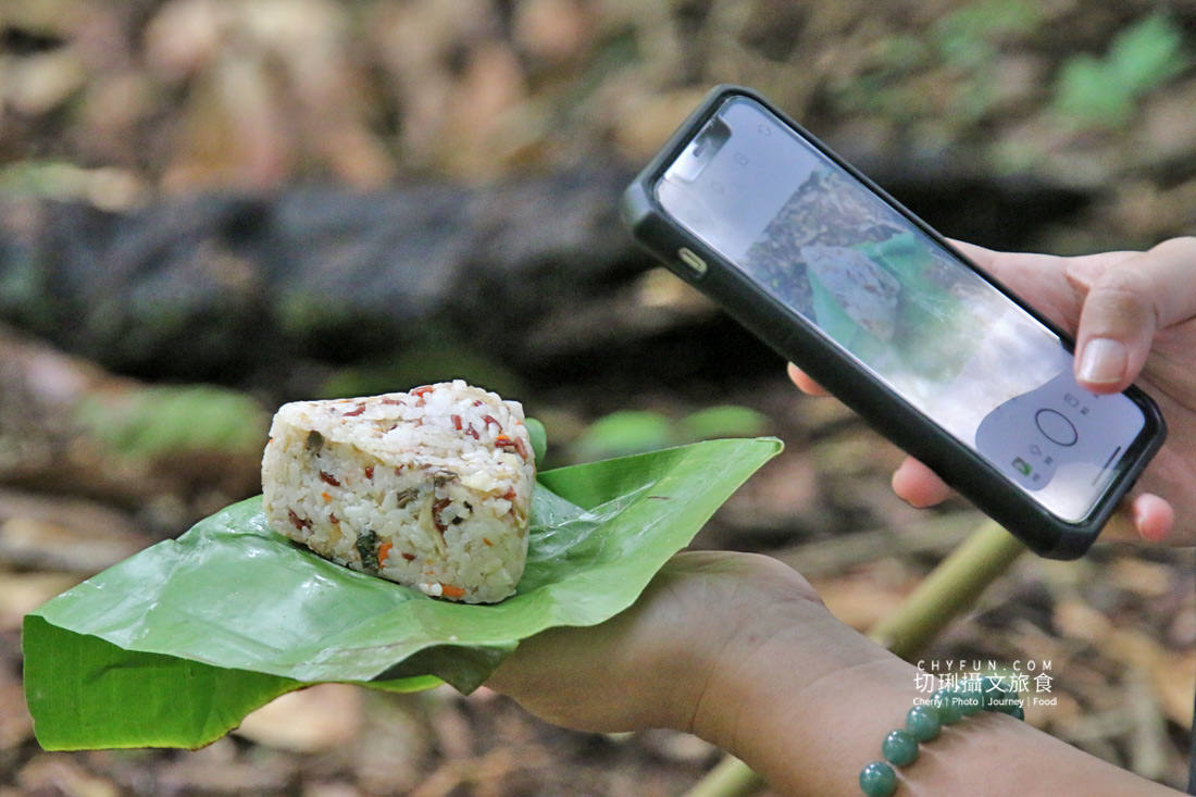 嘉義|阿里山特富野二日遊跟著在地人步伐,走訪挪唷吒原野巨木森林導覽聚落文化 - 第55張圖 嘉義|阿里山特富野二日遊跟著在地人步伐,走訪挪唷吒原野巨木森林導覽聚落文化